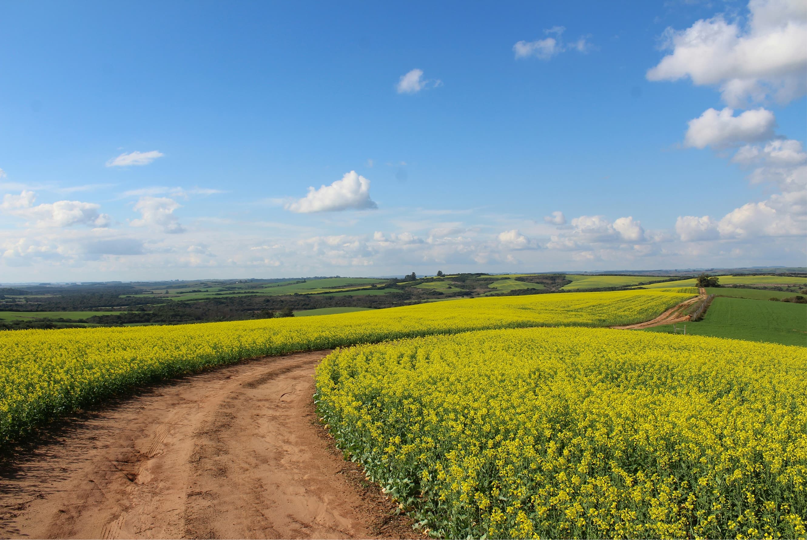 Rolling green fields countryside trip